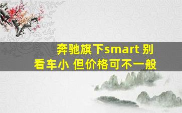 奔驰旗下smart 别看车小 但价格可不一般